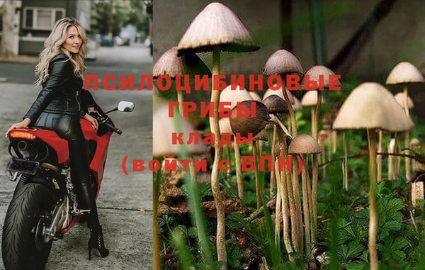 меф VHQ Михайлов