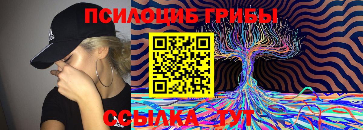 Псилоцибиновые грибы мухоморы  Жуковский 